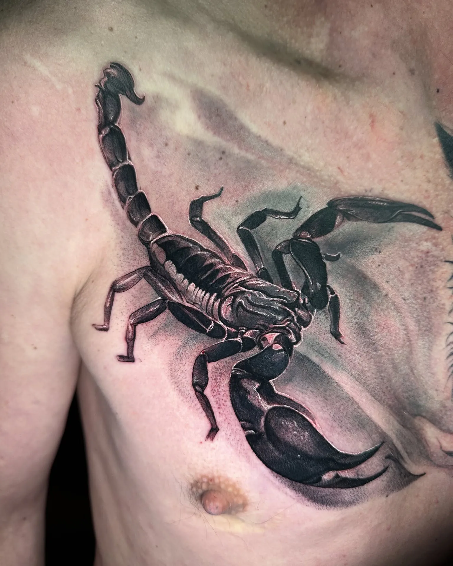 Черно белый скорпион на груди.